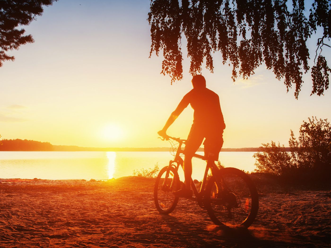 vélo l'été en vacances